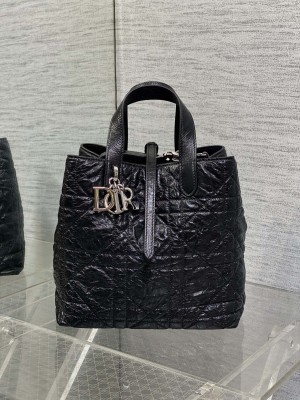 디올 뚜주흐 버티컬 토트백 미디엄