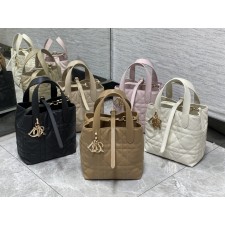 디올 뚜주흐 버티컬 토트백 스몰 [5컬러]