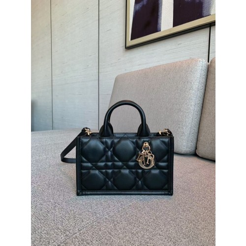 디올 북 토트 미니 백 Book Tote Mini [정품급]