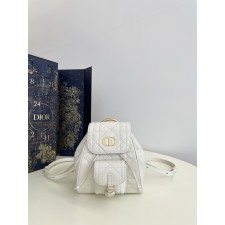 디올 카로 스몰 백팩