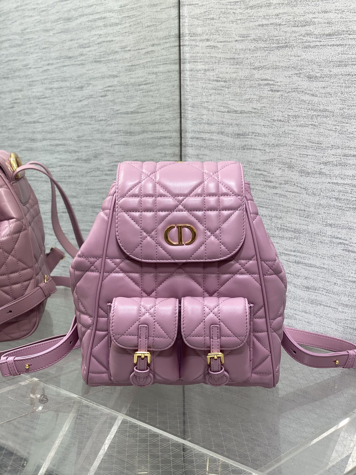 디올 카로 미디움 백팩