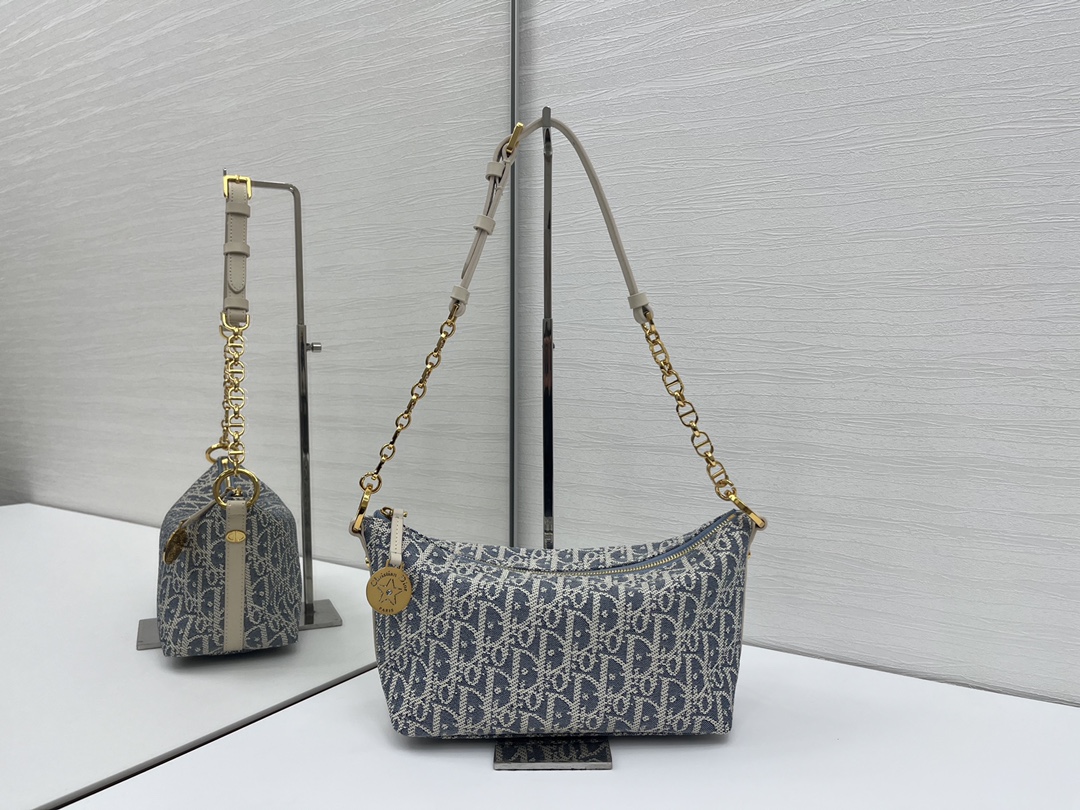 디올 Diorstar 체인 호보백