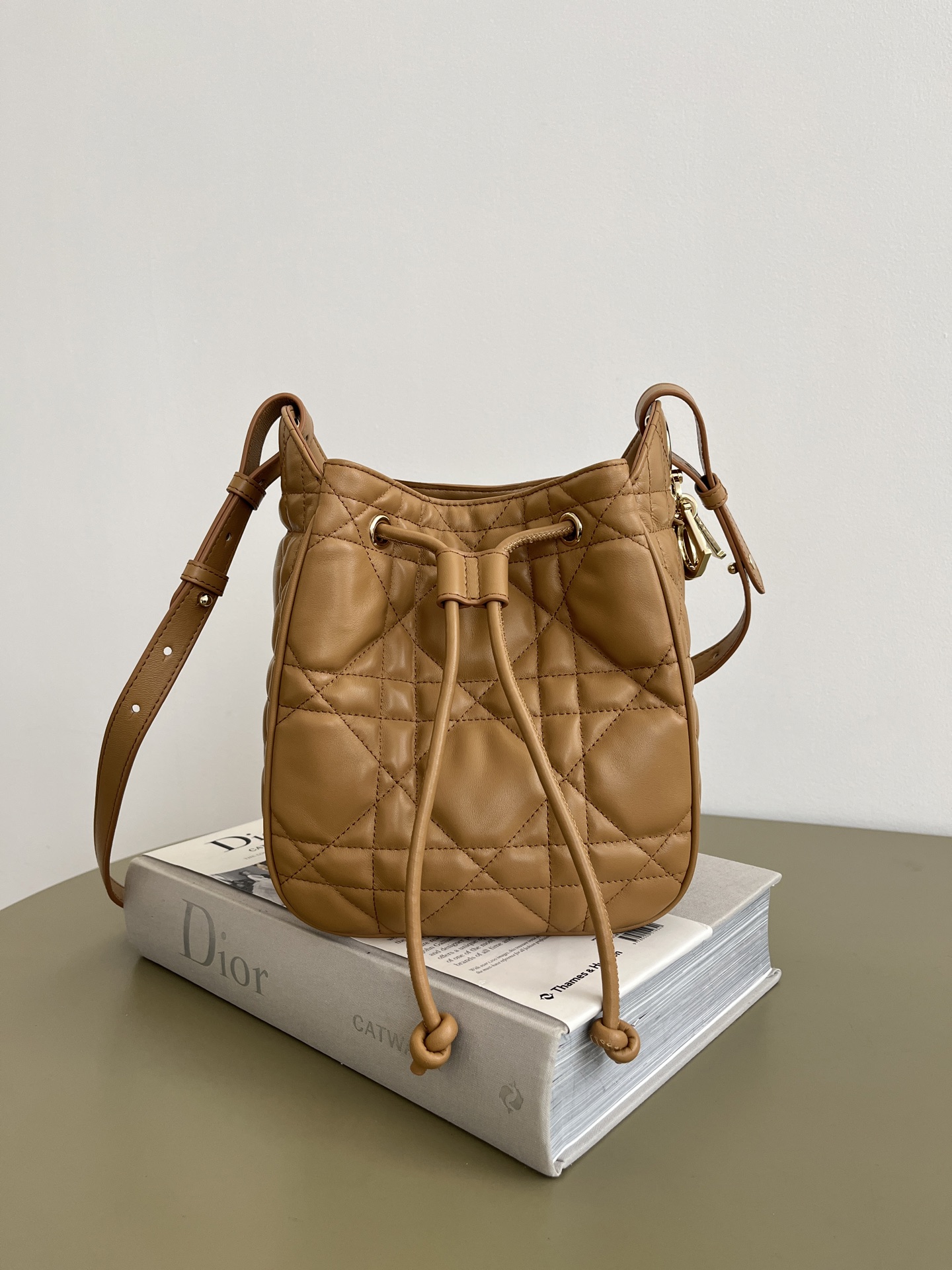 디올 D-Motion 스몰 백