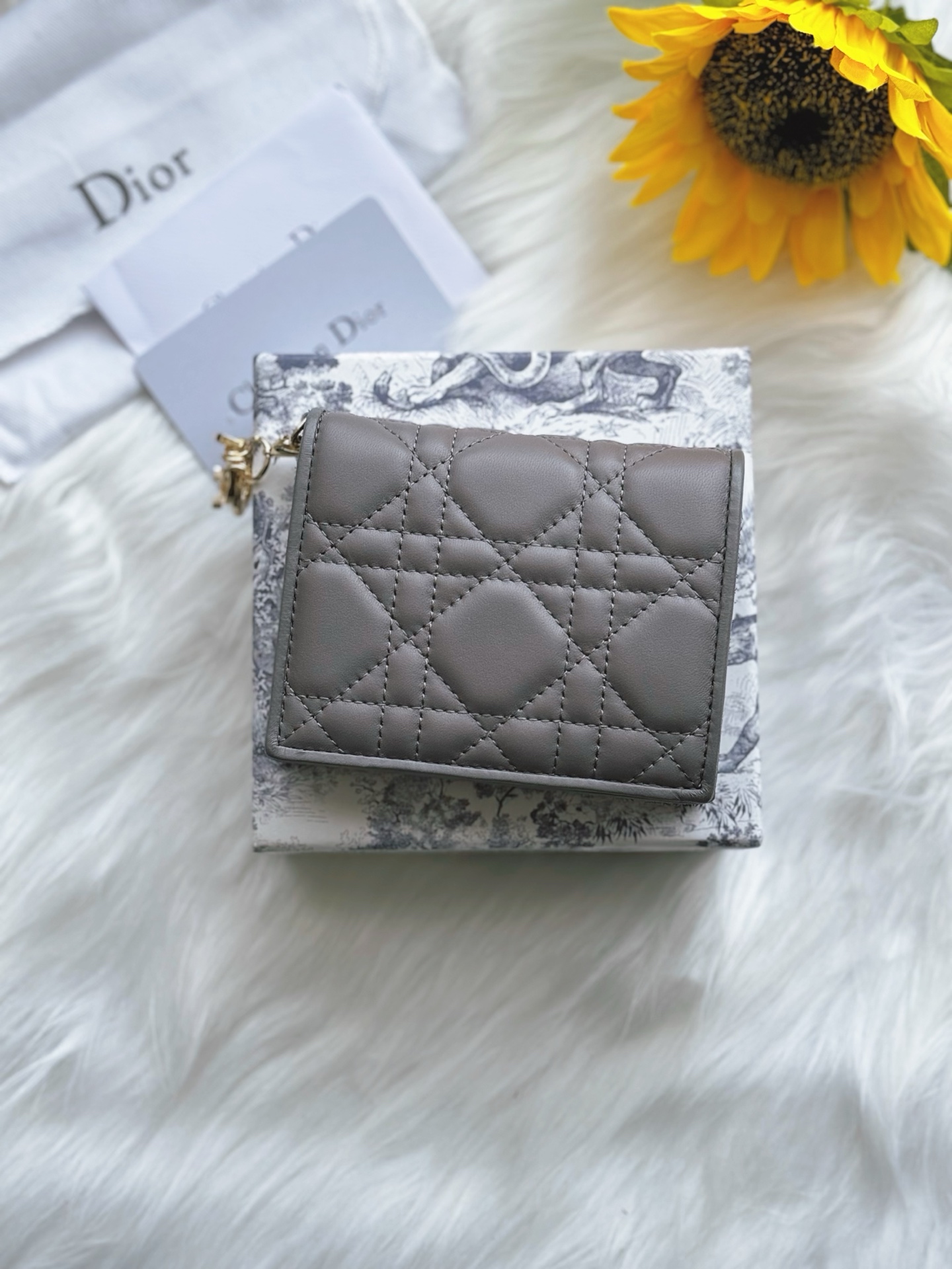 디올 Lady Dior Gardenia 미니 지갑