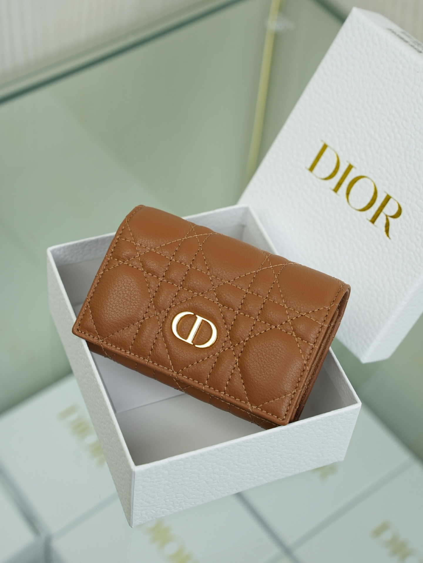 디올 Caro Glycine 지갑