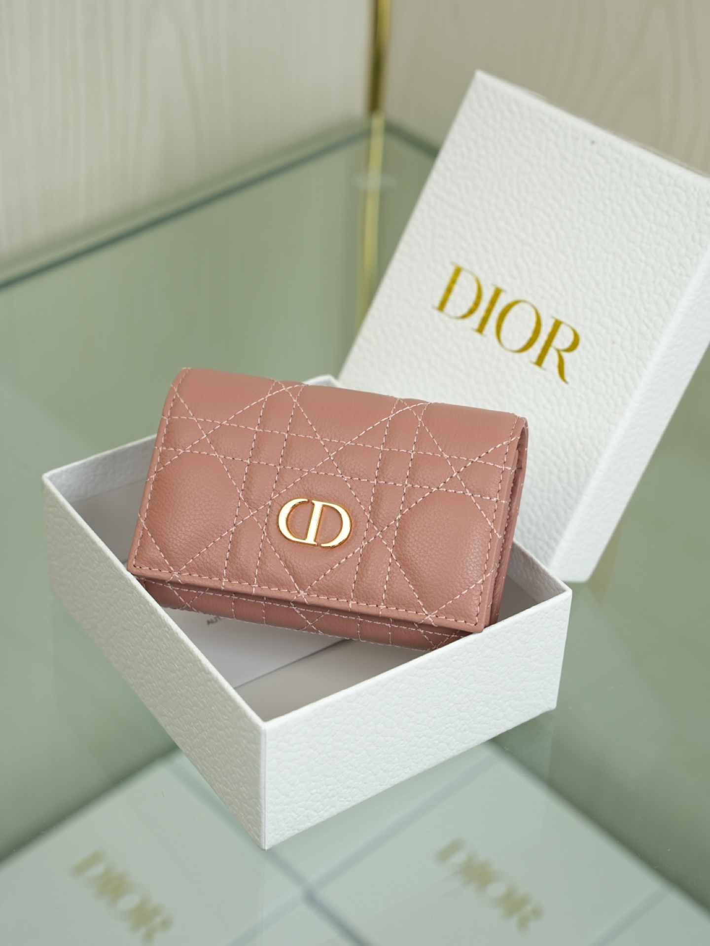 디올 Caro Glycine 지갑