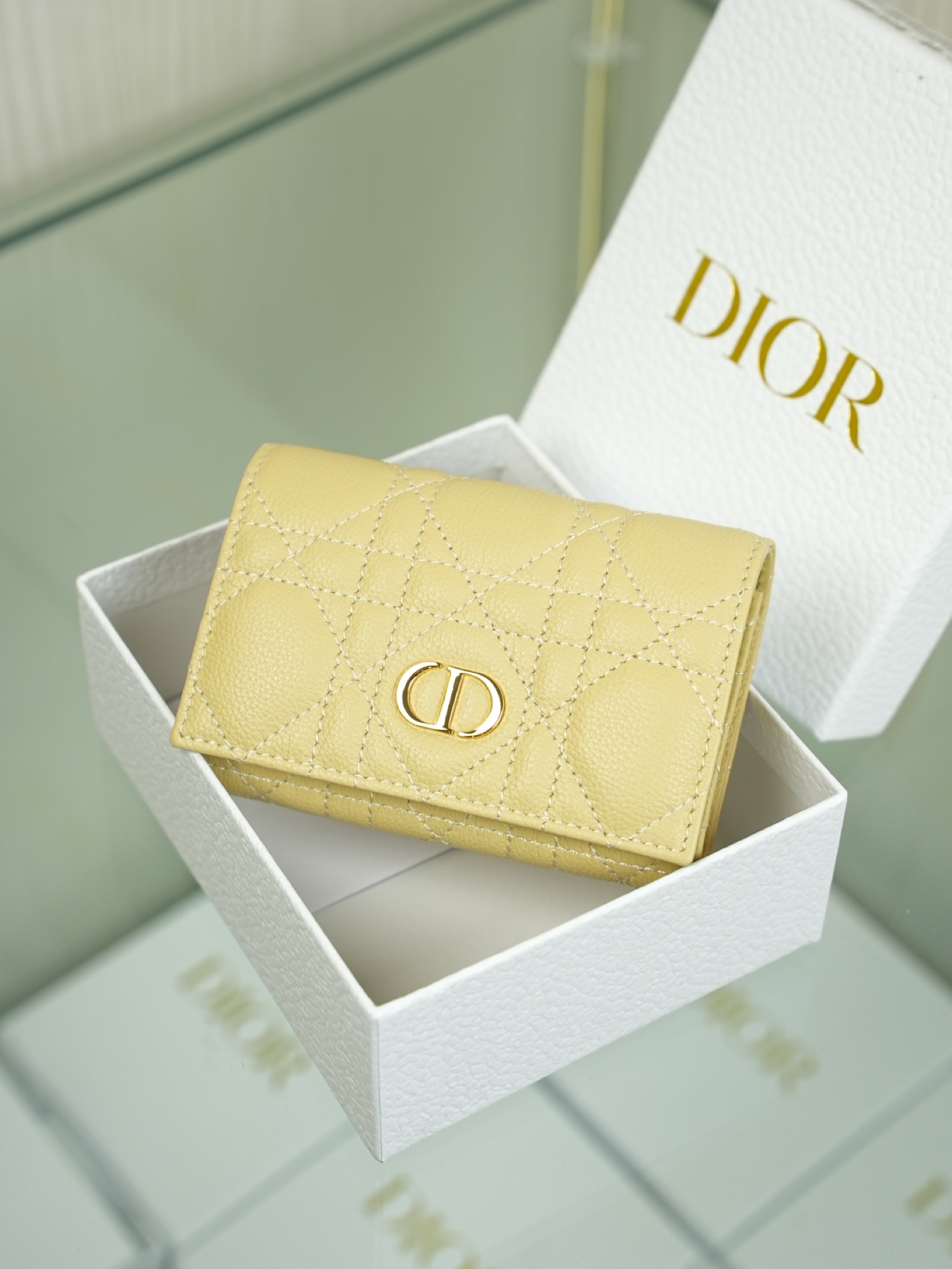 디올 Caro Glycine 지갑