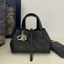 디올 뚜주흐 백 스몰