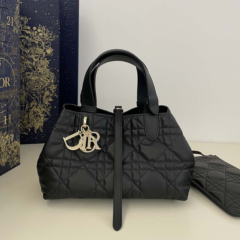 디올 뚜주흐 백 스몰