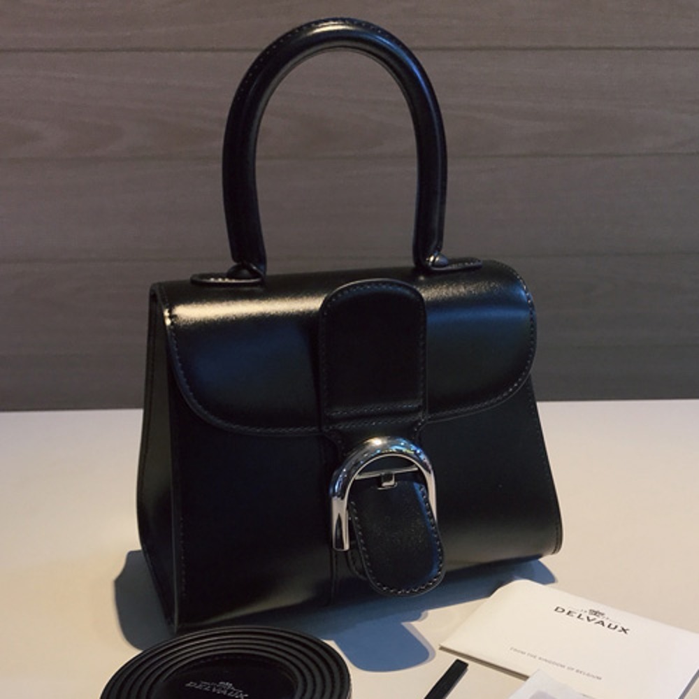 델보 브리앙 박스백 미니 은장 20cm